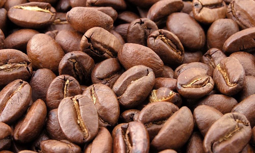 Biji Kopi Kering