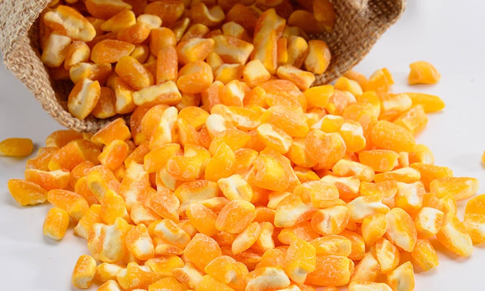 Jagung Kering