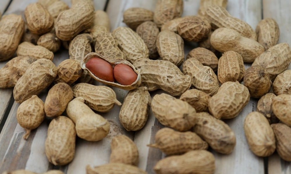 Kacang