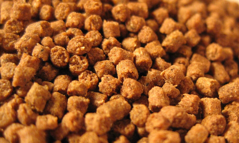 Pellet Ikan