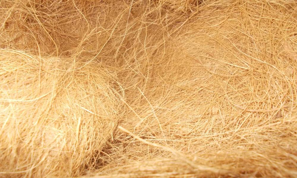 Sabut Kelapa Coconut Fiber