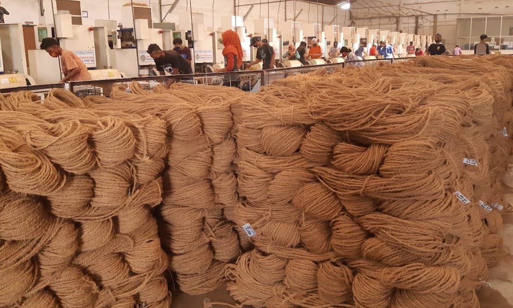 Tali Cocofiber