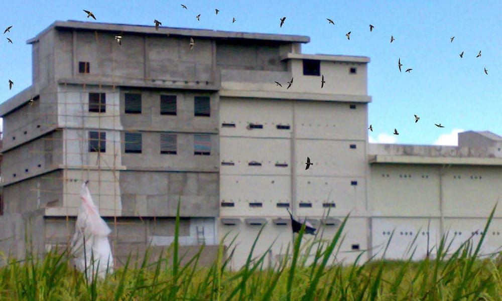 Rumah Burung Walet